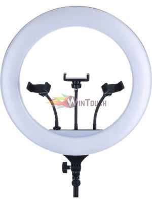 Ring Light Lamp YQ-460B Επαγγελματικό Φωτιστικό Δαχτυλίδι Led 43cm Με Μεγάλο Τρίποδο Και Τηλεκοντρόλ Ring Light Lamp YQ-460B Επαγγελματικό Φωτιστικό Δαχτυλίδι Led 43cm Με Μεγάλο Τρίποδο Και Τηλεκοντρόλ